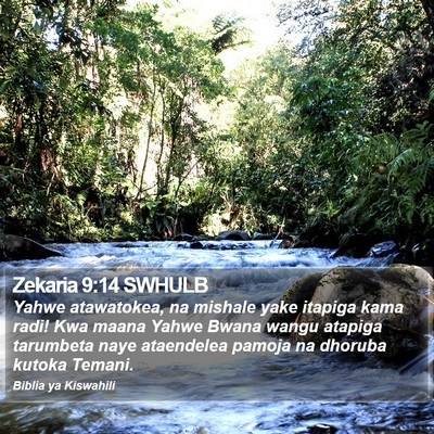 Zekaria 9:14 SWHULB Bible Verse Image
