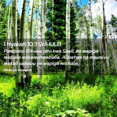 Picture 02 - 1 Nyakati 10:3 SWHULB - Pambano lilikuwa zito kwa Sauli, na wapiga - Bible Verse Picture