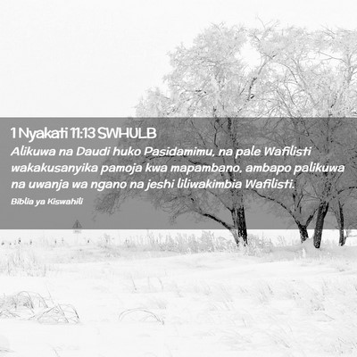 Picture 02 - 1 Nyakati 11:13 SWHULB - Alikuwa na Daudi huko Pasidamimu, na pale - Bible Verse Picture
