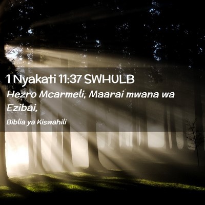 Picture 02 - 1 Nyakati 11:37 SWHULB - Hezro Mcarmeli, Maarai mwana wa - Bible Verse Picture