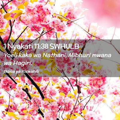 Picture 02 - 1 Nyakati 11:38 SWHULB - Yoeli kaka wa Nathani, Mibhari mwana wa - Bible Verse Picture
