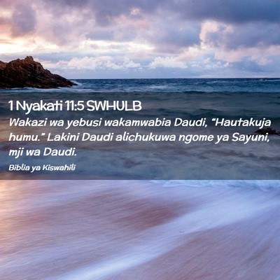 Picture 02 - 1 Nyakati 11:5 SWHULB - Wakazi wa yebusi wakamwabia Daudi, “Hautakuja - Bible Verse Picture