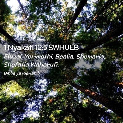 Picture 02 - 1 Nyakati 12:5 SWHULB - Eluzai, Yerimothi, Bealia, Shemaria, Shefatia - Bible Verse Picture