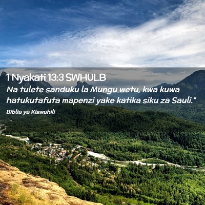 Picture 02 - 1 Nyakati 13:3 SWHULB - Na tulete sanduku la Mungu wetu, kwa kuwa - Bible Verse Picture