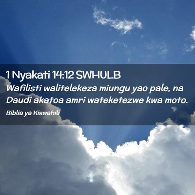 Picture 02 - 1 Nyakati 14:12 SWHULB - Wafilisti walitelekeza miungu yao pale, na Daudi - Bible Verse Picture