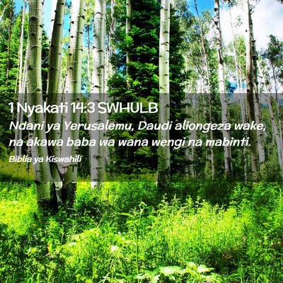 Picture 02 - 1 Nyakati 14:3 SWHULB - Ndani ya Yerusalemu, Daudi aliongeza wake, na - Bible Verse Picture