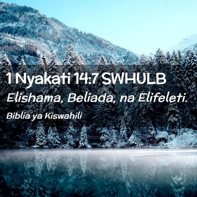 Picture 02 - 1 Nyakati 14:7 SWHULB - Elishama, Beliada, na - Bible Verse Picture