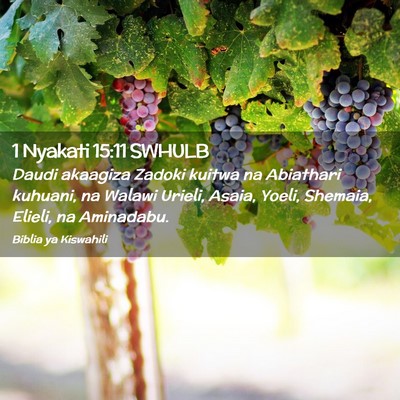 Picture 02 - 1 Nyakati 15:11 SWHULB - Daudi akaagiza Zadoki kuitwa na Abiathari - Bible Verse Picture