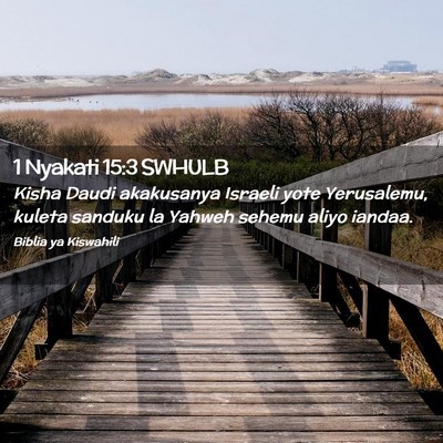 Picture 02 - 1 Nyakati 15:3 SWHULB - Kisha Daudi akakusanya Israeli yote Yerusalemu, - Bible Verse Picture
