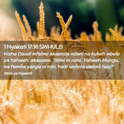 Picture 02 - 1 Nyakati 17:16 SWHULB - Kisha Daudi mfalme akaenda ndani na kuketi mbele - Bible Verse Picture