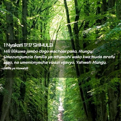 Picture 02 - 1 Nyakati 17:17 SWHULB - Hili lilikuwa jambo dogo machoni pako, Mungu. - Bible Verse Picture