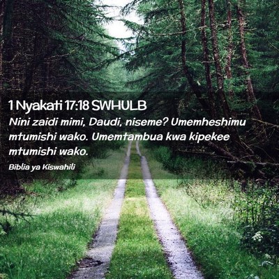 Picture 02 - 1 Nyakati 17:18 SWHULB - Nini zaidi mimi, Daudi, niseme? Umemheshimu - Bible Verse Picture