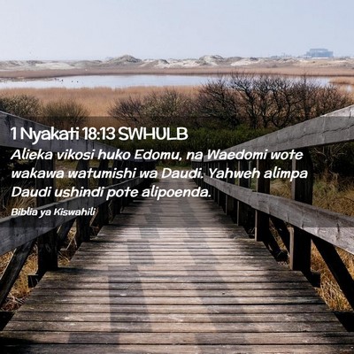 Picture 02 - 1 Nyakati 18:13 SWHULB - Alieka vikosi huko Edomu, na Waedomi wote wakawa - Bible Verse Picture