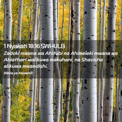 Picture 02 - 1 Nyakati 18:16 SWHULB - Zadoki mwana wa Ahitubi na Ahimeleki mwana wa - Bible Verse Picture