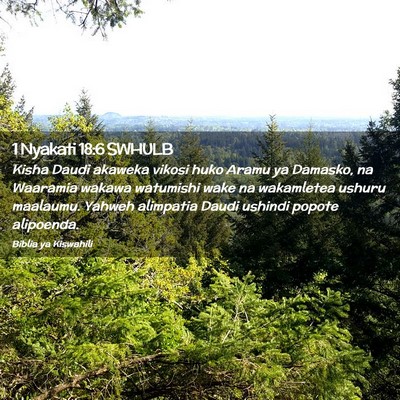 Picture 02 - 1 Nyakati 18:6 SWHULB - Kisha Daudi akaweka vikosi huko Aramu ya Damasko, - Bible Verse Picture