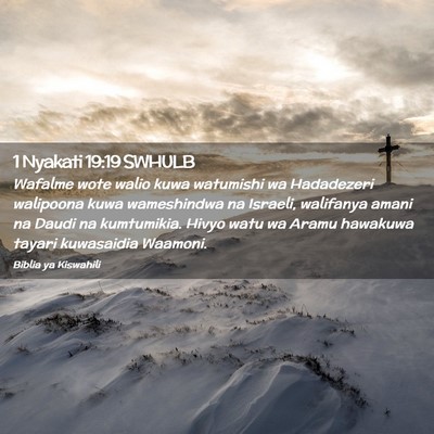 Picture 02 - 1 Nyakati 19:19 SWHULB - Wafalme wote walio kuwa watumishi wa Hadadezeri - Bible Verse Picture