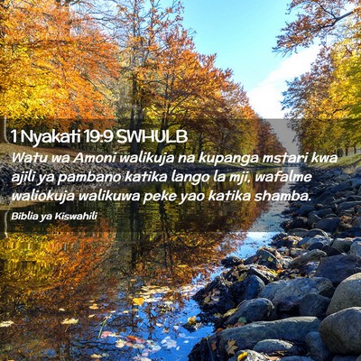 Picture 02 - 1 Nyakati 19:9 SWHULB - Watu wa Amoni walikuja na kupanga mstari kwa - Bible Verse Picture
