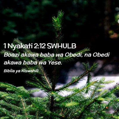 Picture 02 - 1 Nyakati 2:12 SWHULB - Boazi akawa baba wa Obedi, na Obedi akawa baba wa - Bible Verse Picture