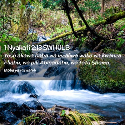 Picture 02 - 1 Nyakati 2:13 SWHULB - Yese akawa baba wa mzaliwa wake wa kwanza Eliabu, - Bible Verse Picture