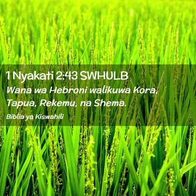 Picture 02 - 1 Nyakati 2:43 SWHULB - Wana wa Hebroni walikuwa Kora, Tapua, Rekemu, na - Bible Verse Picture