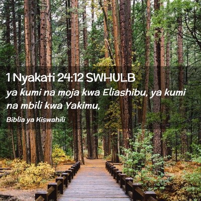 Picture 02 - 1 Nyakati 24:12 SWHULB - ya kumi na moja kwa Eliashibu, ya kumi na mbili - Bible Verse Picture