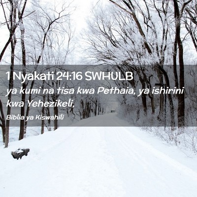 Picture 02 - 1 Nyakati 24:16 SWHULB - ya kumi na tisa kwa Pethaia, ya ishirini kwa - Bible Verse Picture