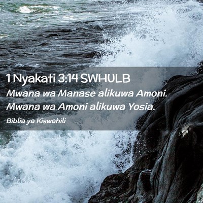 Picture 02 - 1 Nyakati 3:14 SWHULB - Mwana wa Manase alikuwa Amoni. Mwana wa Amoni - Bible Verse Picture
