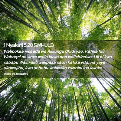 Picture 02 - 1 Nyakati 5:20 SWHULB - Walipokea msaada wa Kimungu dhidi yao. Katika - Bible Verse Picture
