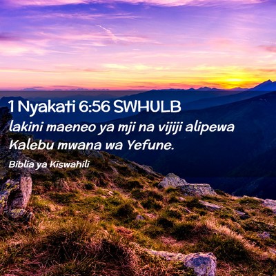 Picture 02 - 1 Nyakati 6:56 SWHULB - lakini maeneo ya mji na vijiji alipewa Kalebu - Bible Verse Picture