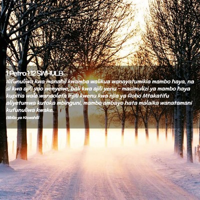 Picture 02 - 1 Petro 1:12 SWHULB - Ilifunuliwa kwa manabii kwamba walikua - Bible Verse Picture