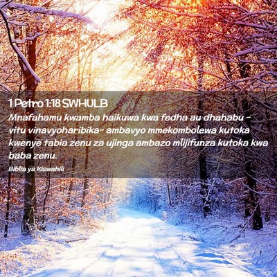 Picture 02 - 1 Petro 1:18 SWHULB - Mnafahamu kwamba haikuwa kwa fedha au dhahabu - - Bible Verse Picture