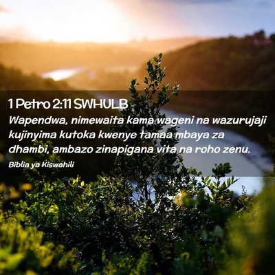 Picture 02 - 1 Petro 2:11 SWHULB - Wapendwa, nimewaita kama wageni na wazurujaji - Bible Verse Picture