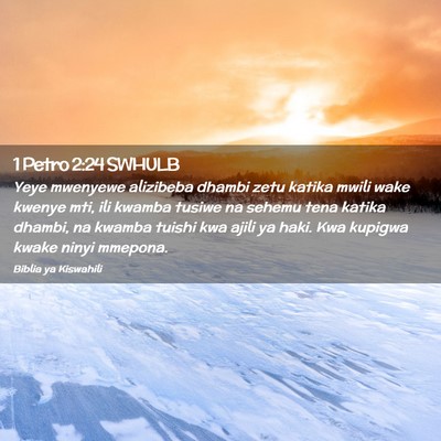 Picture 02 - 1 Petro 2:24 SWHULB - Yeye mwenyewe alizibeba dhambi zetu katika mwili - Bible Verse Picture