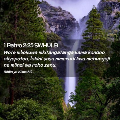 Picture 02 - 1 Petro 2:25 SWHULB - Wote mliokuwa mkitangatanga kama kondoo - Bible Verse Picture