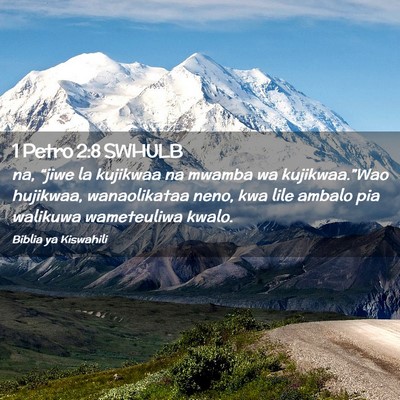 Picture 02 - 1 Petro 2:8 SWHULB - na, “jiwe la kujikwaa na mwamba wa - Bible Verse Picture