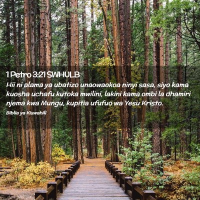 Picture 02 - 1 Petro 3:21 SWHULB - Hii ni alama ya ubatizo unaowaokoa ninyi sasa, - Bible Verse Picture
