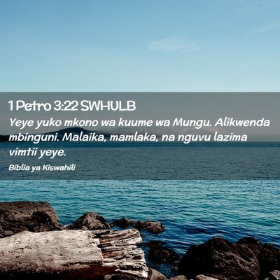 Picture 02 - 1 Petro 3:22 SWHULB - Yeye yuko mkono wa kuume wa Mungu. Alikwenda - Bible Verse Picture