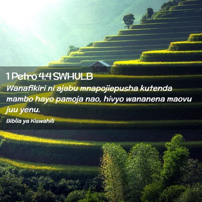 Picture 02 - 1 Petro 4:4 SWHULB - Wanafikiri ni ajabu mnapojiepusha kutenda mambo - Bible Verse Picture