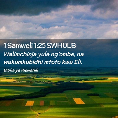 Picture 02 - 1 Samweli 1:25 SWHULB - Walimchinja yule ng'ombe, na wakamkabidhi mtoto - Bible Verse Picture