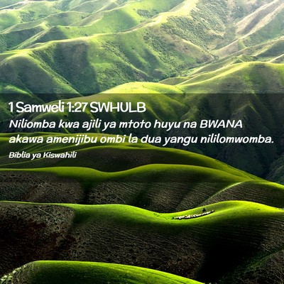 Picture 02 - 1 Samweli 1:27 SWHULB - Niliomba kwa ajili ya mtoto huyu na BWANA akawa - Bible Verse Picture