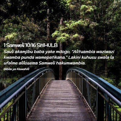 Picture 02 - 1 Samweli 10:16 SWHULB - Sauli akamjibu baba yake mdogo, “Alituambia - Bible Verse Picture