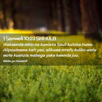 Picture 02 - 1 Samweli 10:23 SWHULB - Wakaenda mbio na kumleta Sauli kutoka humo. - Bible Verse Picture