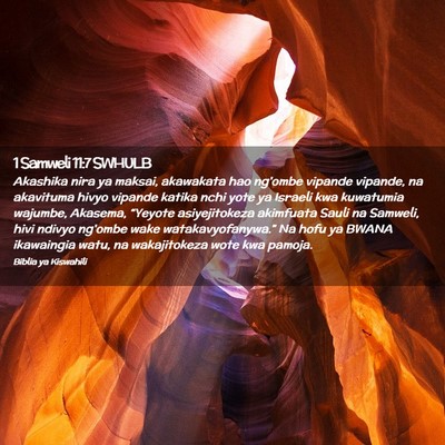 Picture 02 - 1 Samweli 11:7 SWHULB - Akashika nira ya maksai, akawakata hao ng'ombe - Bible Verse Picture