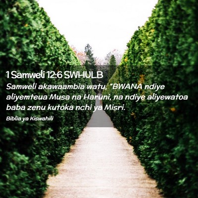 Picture 02 - 1 Samweli 12:6 SWHULB - Samweli akawaambia watu, “BWANA ndiye - Bible Verse Picture