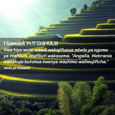 Picture 02 - 1 Samweli 14:11 SWHULB - Kwa hiyo wote wawili wakajifunua mbele ya ngome - Bible Verse Picture