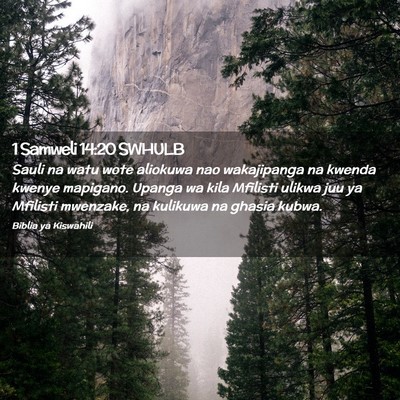 Picture 02 - 1 Samweli 14:20 SWHULB - Sauli na watu wote aliokuwa nao wakajipanga na - Bible Verse Picture