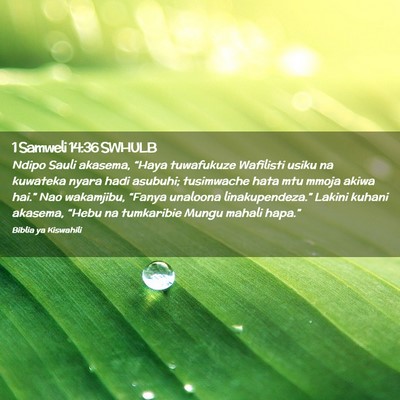 Picture 02 - 1 Samweli 14:36 SWHULB - Ndipo Sauli akasema, “Haya tuwafukuze Wafilisti - Bible Verse Picture
