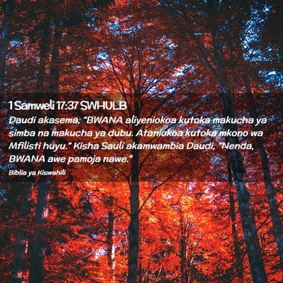 Picture 02 - 1 Samweli 17:37 SWHULB - Daudi akasema, “BWANA aliyeniokoa kutoka - Bible Verse Picture
