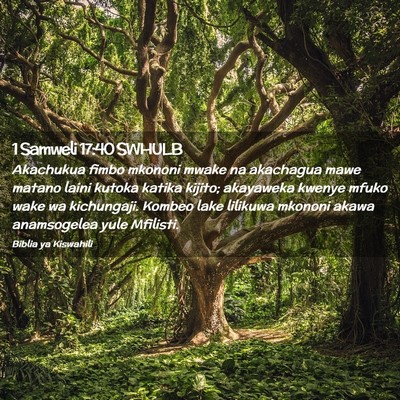 Picture 02 - 1 Samweli 17:40 SWHULB - Akachukua fimbo mkononi mwake na akachagua mawe - Bible Verse Picture