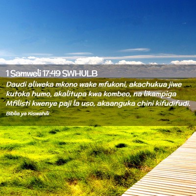 Picture 02 - 1 Samweli 17:49 SWHULB - Daudi aliweka mkono wake mfukoni, akachukua jiwe - Bible Verse Picture